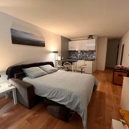 L'Ocean A Perte De Vue, La Grande Plage A Vos Pieds เบียริตซ์ ภายนอก รูปภาพ